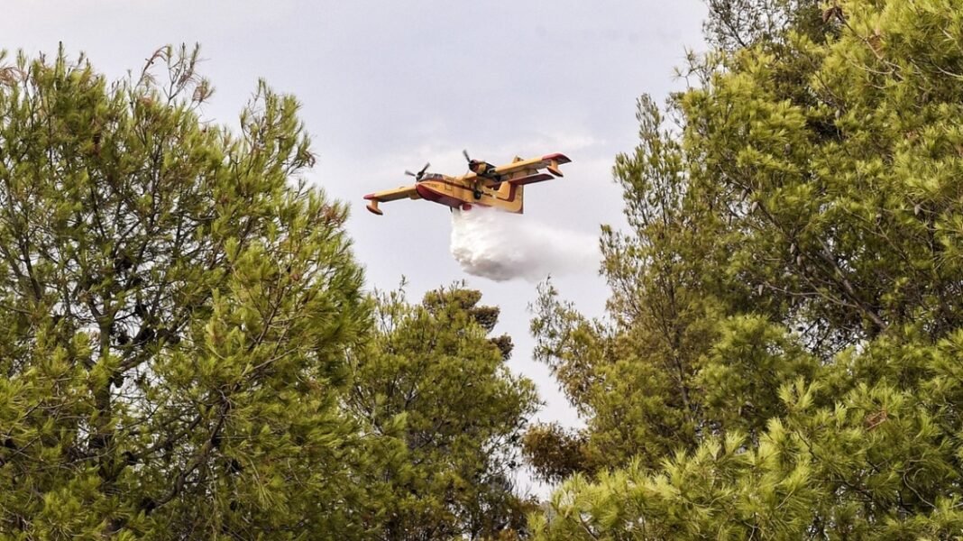 Φωτιά τώρα στην Καρδίτσα, επιχειρούν 4 αεροσκάφη στον δήμο Παλαμά Φωτιά-τώρα-στην-Καρδίτσα,-επιχειρούν-4-αεροσκάφη-στον-δήμο-Παλαμά