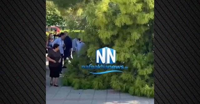Τρεις τραυματίες μετά από πτώση μεγάλου κλαδιού έξω από εκκλησία στον Λυγιά Ναυπάκτου, δείτε βίντεο Τρεις-τραυματίες-μετά-από-πτώση-μεγάλου-κλαδιού-έξω-από-εκκλησία-στον-Λυγιά-Ναυπάκτου,-δείτε-βίντεο