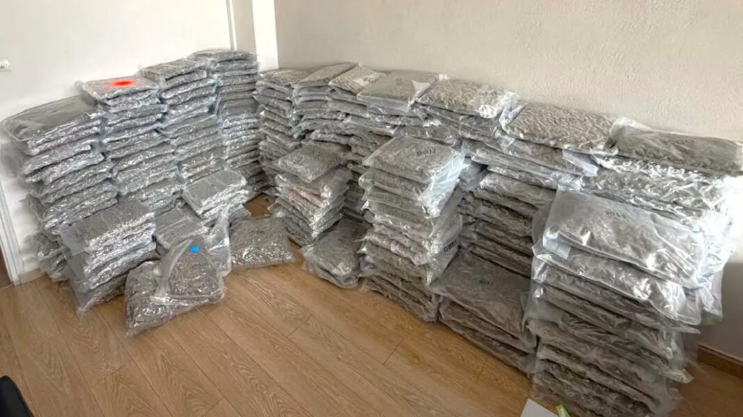 Μπλόκο-της-ΕΛΑΣ-στην-Ηγουμενίτσα-σε-300-κιλά-κάνναβης-αξίας-άνω-των-1,2-εκατ.-ευρώ,-δείτε-βίντεο