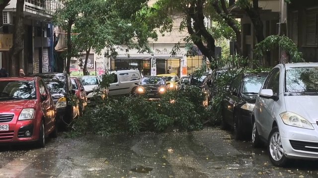 Κακοκαιρία: Πτώση δέντρου και διακοπή της κυκλοφορίας στη συμβολή της Διδότου με τη Χαριλάου Τρικούπη Κακοκαιρία:-Πτώση-δέντρου-και-διακοπή-της-κυκλοφορίας-στη-συμβολή-της-Διδότου-με-τη-Χαριλάου-Τρικούπη
