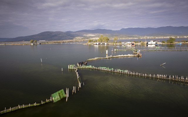 “Μπλόκο” στις ιχθυοκαλλιέργειες από δεκάδες παράκτιους δήμους – Οι προβληματισμοί για την προστασία του περιβάλλοντος “Μπλόκο”-στις-ιχθυοκαλλιέργειες-από-δεκάδες-παράκτιους-δήμους-–-Οι-προβληματισμοί-για-την-προστασία-του-περιβάλλοντος