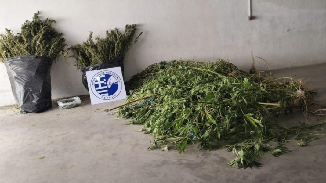 Πάνω από 17 κιλά ναρκωτικών ξετρύπωσε ο αστυνομικός σκύλος Roxy στις Σέρρες, μία σύλληψη Πάνω-από-17-κιλά-ναρκωτικών-ξετρύπωσε-ο-αστυνομικός-σκύλος-roxy-στις-Σέρρες,-μία-σύλληψη