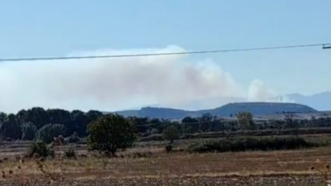 Φωτιά σε δάσος στο Σουφλί, πέρασε από τη Βουλγαρία στην Ελλάδα Φωτιά-σε-δάσος-στο-Σουφλί,-πέρασε-από-τη-Βουλγαρία-στην-Ελλάδα