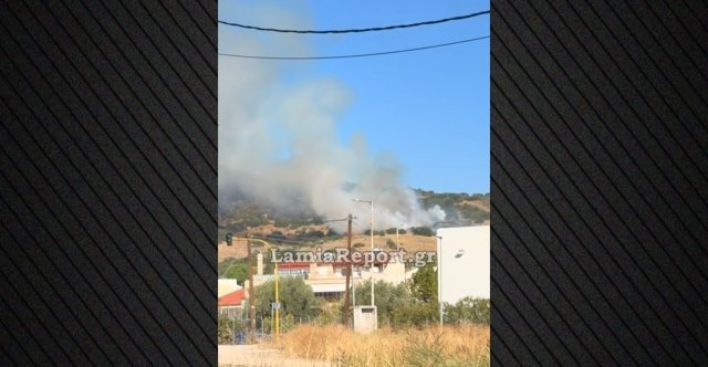 Φωτιά-τώρα-στη-Λαμία:-Επιχειρούν-δύο-αεροσκάφη-και-ένα-ελικόπτερο