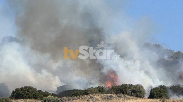 Φωτιά τώρα στη Λαμία, καίει ξερά χόρτα Φωτιά-τώρα-στη-Λαμία,-καίει-ξερά-χόρτα