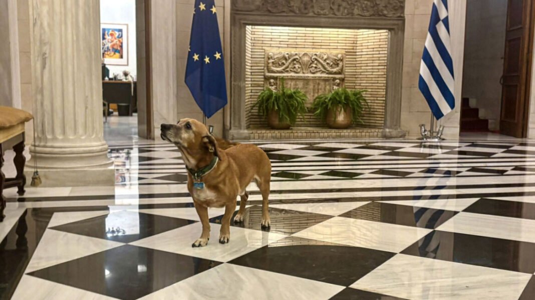 Δημοσιογράφοι που συνόδευσαν τον Ρούμπιο στο Μέγαρο Μαξίμου αποθεώνουν… τον Πίνατ Δημοσιογράφοι-που-συνόδευσαν-τον-Ρούμπιο-στο-Μέγαρο-Μαξίμου-αποθεώνουν…-τον-Πίνατ
