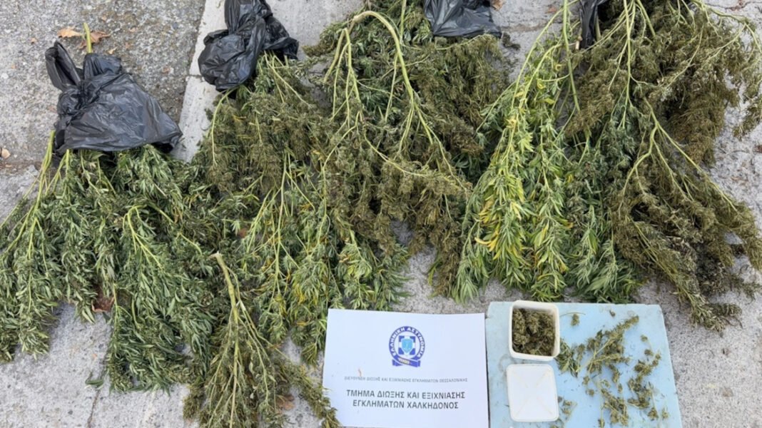 Συνελήφθη 63χρονος στη Θεσσαλονίκη για κατοχή κάνναβης βάρους άνω των 12 κιλών Συνελήφθη-63χρονος-στη-Θεσσαλονίκη-για-κατοχή-κάνναβης-βάρους-άνω-των-12-κιλών