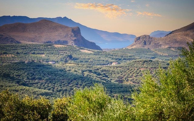 Άνοιξε-η-υποβολή-αιτημάτων-πληρωμής-για-έργα-υποδομών-και-επενδύσεις-στον-πρωτογενή-τομέα