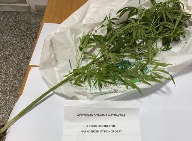 Συνελήφθη άνδρας για καλλιέργεια ναρκωτικών στη Ναύπακτο, τι εντόπισε ο αστυνομικός σκύλος «Sporty» στο σπίτι του Συνελήφθη-άνδρας-για-καλλιέργεια-ναρκωτικών-στη-Ναύπακτο,-τι-εντόπισε-ο-αστυνομικός-σκύλος-«sporty»-στο-σπίτι-του