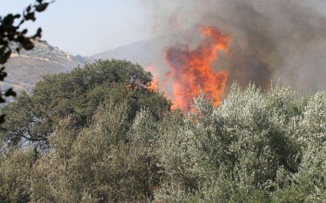 Δασικές-πυρκαγιές: Στα-e6,41-εκατ.-εκτιμώνται-οι-αποζημιώσεις-των-ασφαλιστικών